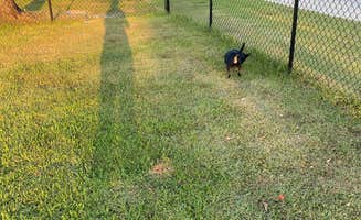 Jaimee D.'s photo of camping with pets at Pirates Cove RrrrV Park near Magnolia Springs, AL