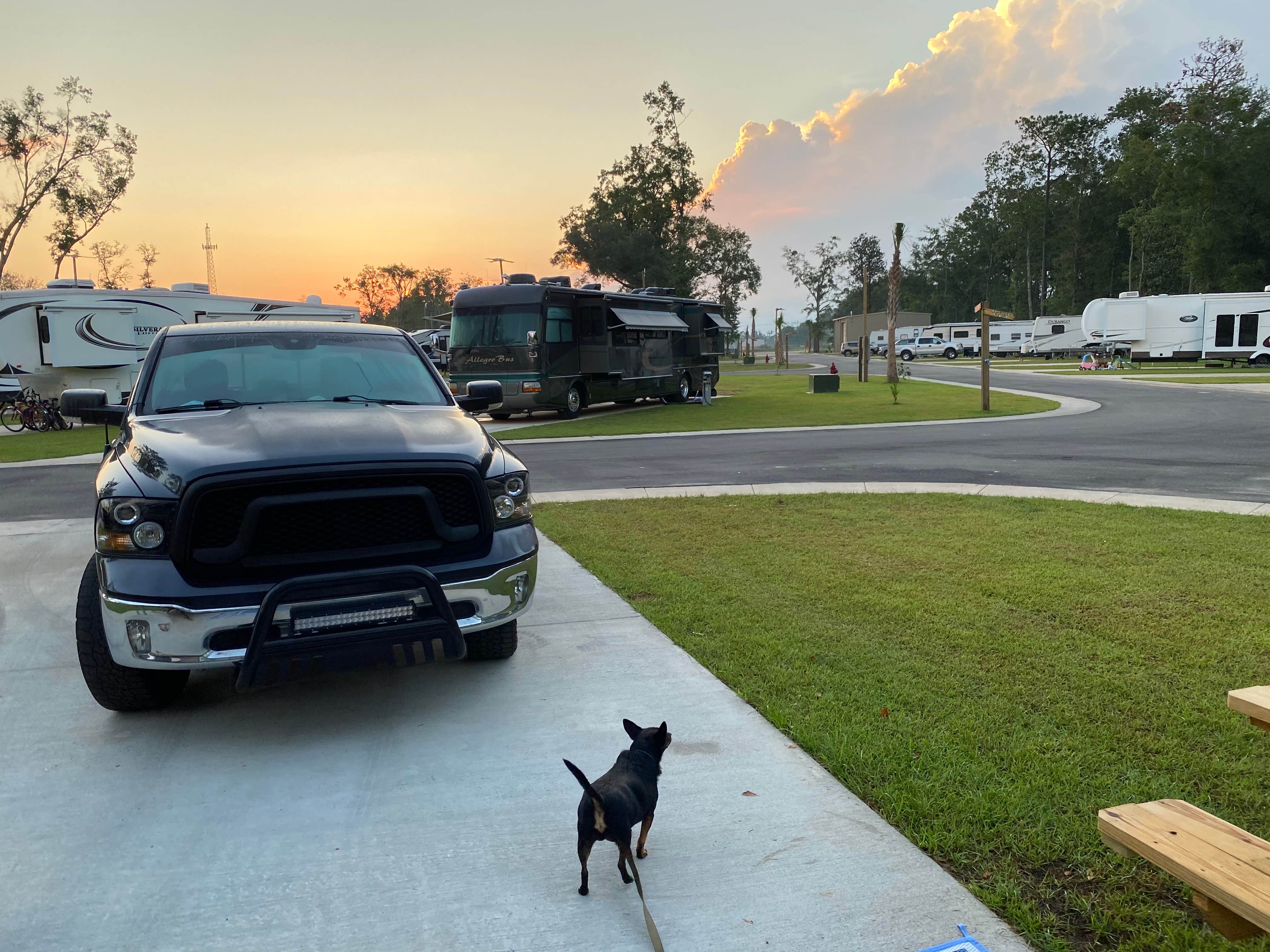 Camper submitted image from Pirates Cove RrrrV Park - 5