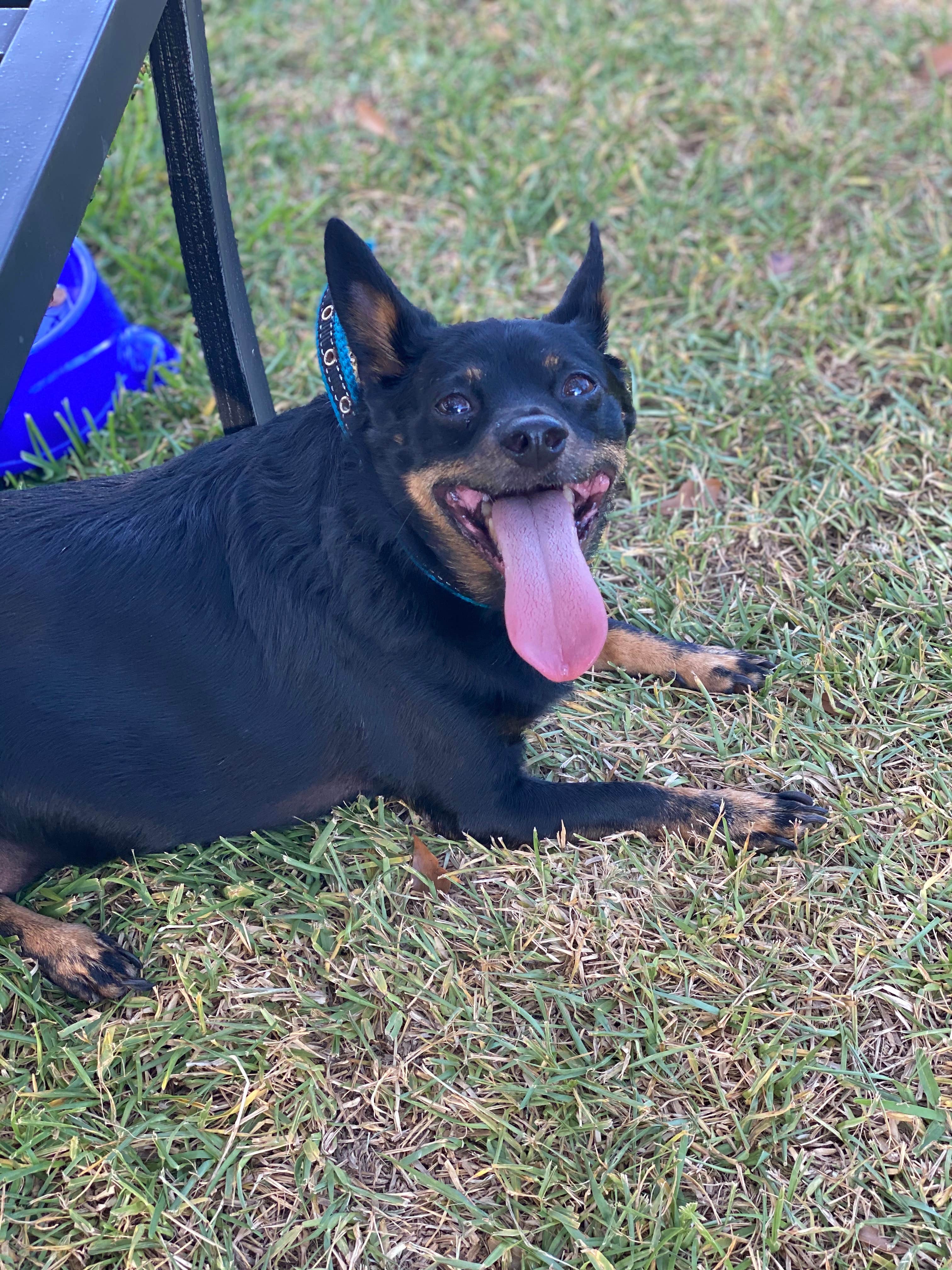 Camper-submitted photo at Pirates Cove RrrrV Park near Robertsdale, AL