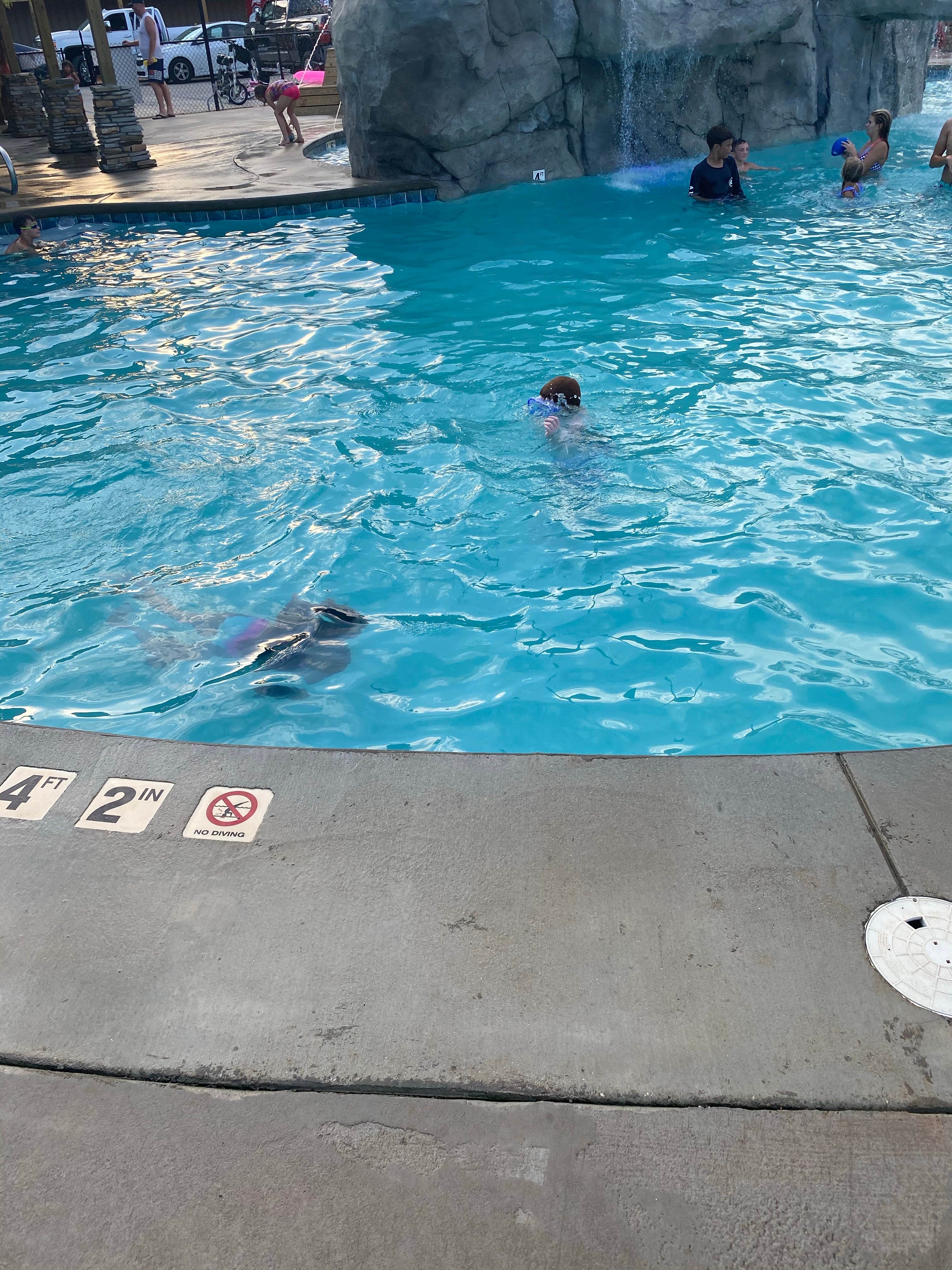 Camper-submitted photo at Pirates Cove RrrrV Park near Robertsdale, AL