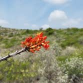 Review photo of Seminole Canyon State Park Campground by Annell N., August 19, 2020