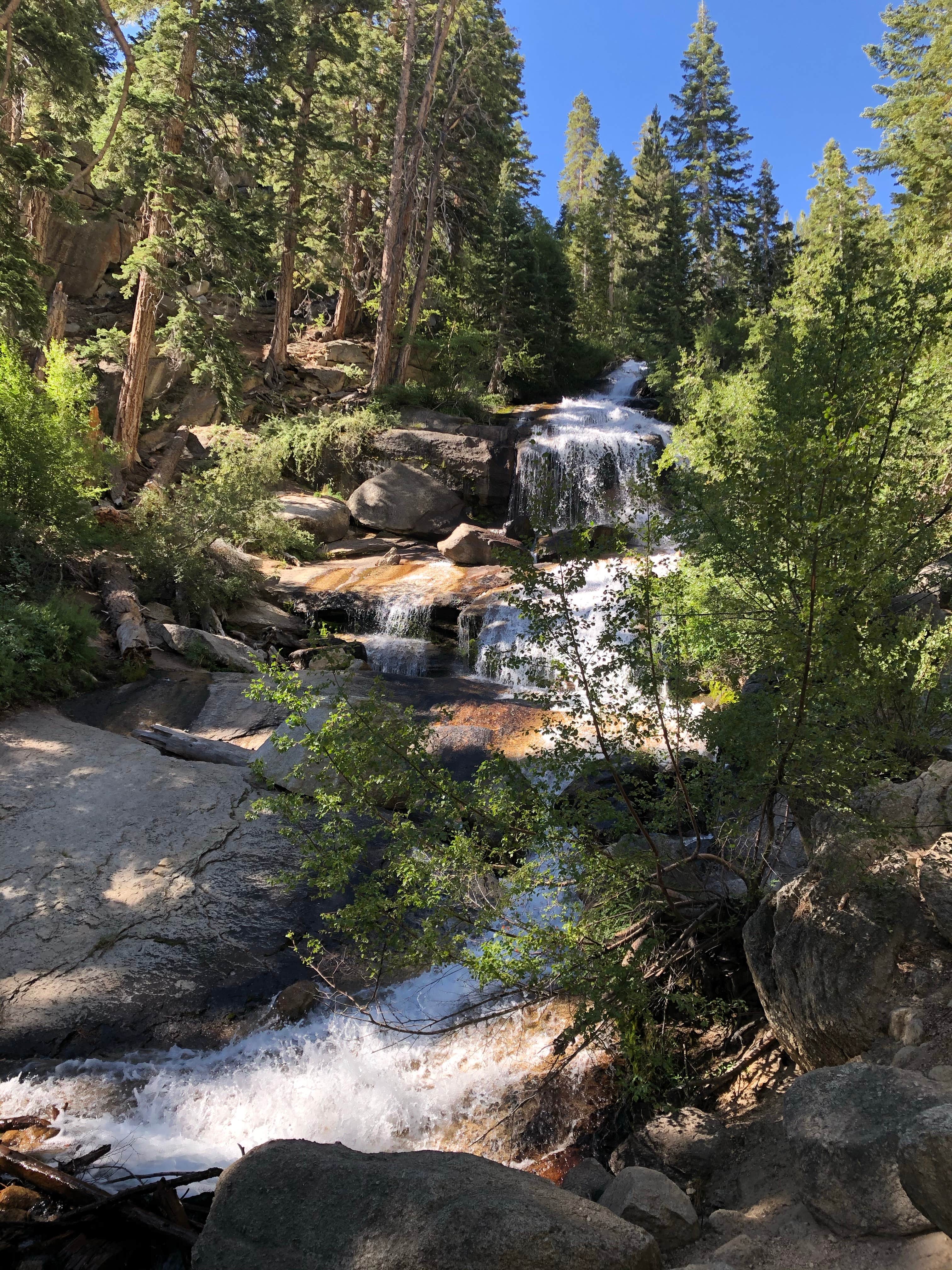 Camper submitted image from Boulder Creek RV Resort - 5
