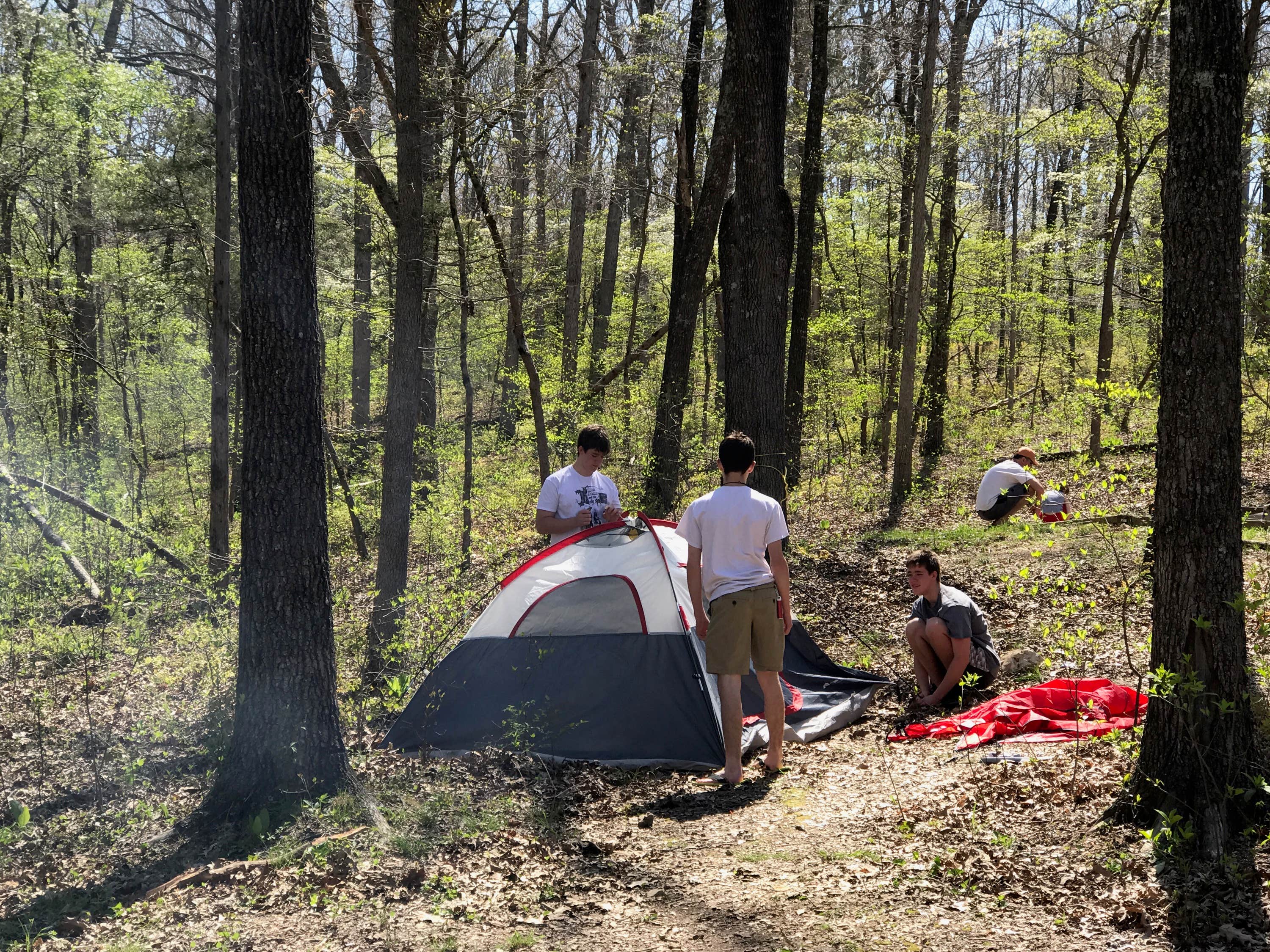 Erin A.'s photo at Withrow Springs State Park Campground in Arkansas