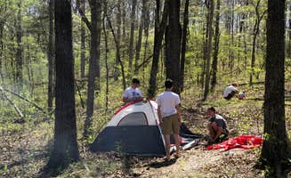 Erin A.'s photo at Withrow Springs State Park Campground near Witter, AR
