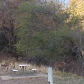 Review photo of Davis Mountains State Park by Annell N., August 20, 2020