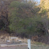 Review photo of Davis Mountains State Park Campground by Annell N., August 20, 2020