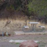 Review photo of Davis Mountains State Park by Annell N., August 20, 2020