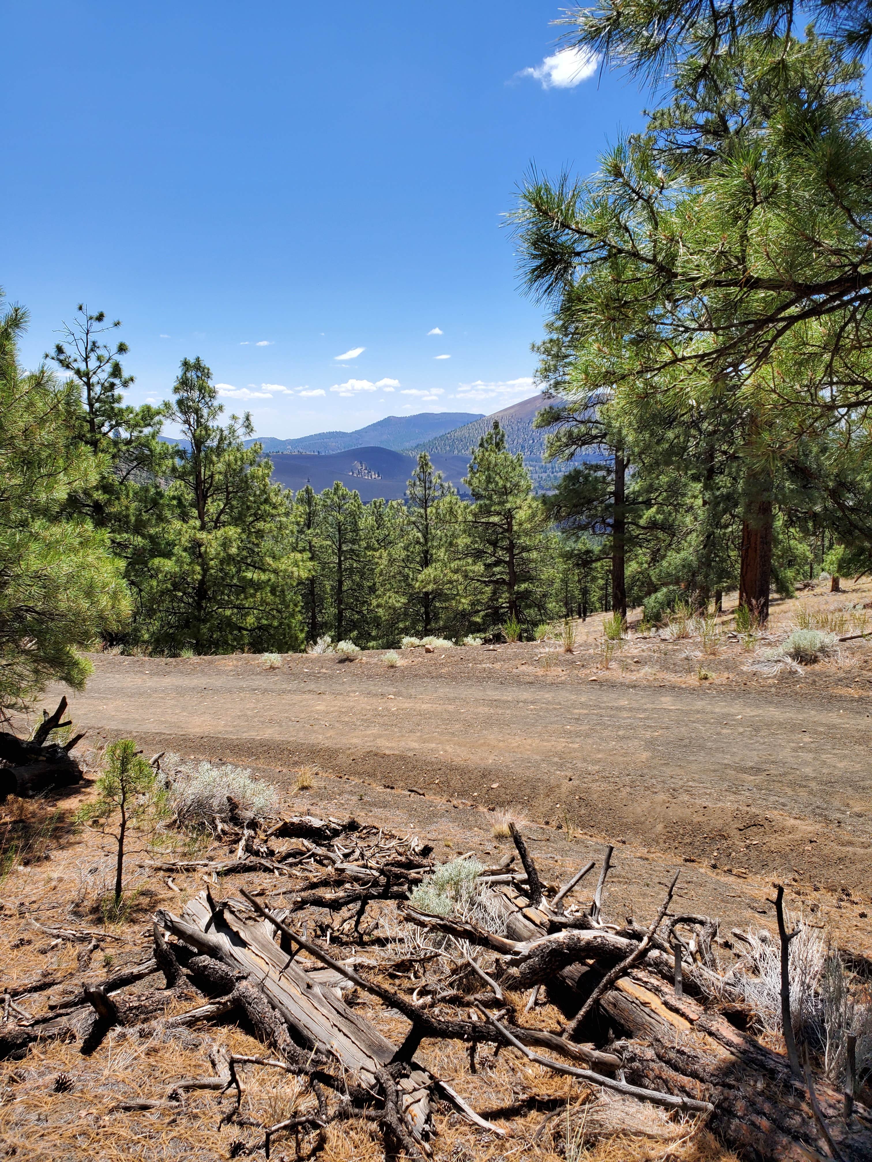 Camper submitted image from Oleary Group Site - 3