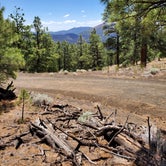 Review photo of Oleary Group Site by Brad B., June 13, 2020
