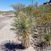 Review photo of Hueco Tanks State Park & Historic Site by Annell N., August 20, 2020