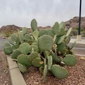 Review photo of Hueco Tanks State Park & Historic Site by Annell N., August 20, 2020