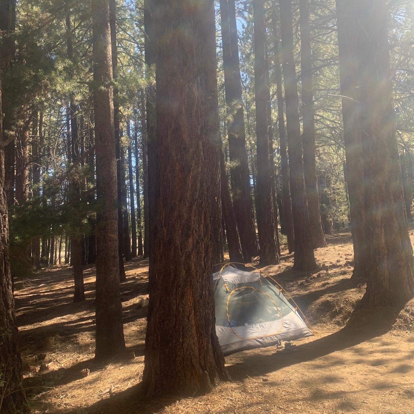 Camper submitted image from Fish Creek Campground - 2