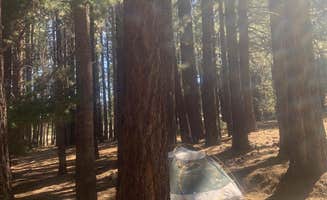 Caroline H.'s photo at Fish Creek Campground near Helper, UT