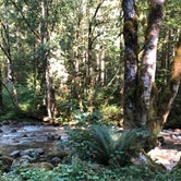 Review photo of Buck Creek Campground by Erin C., August 20, 2020