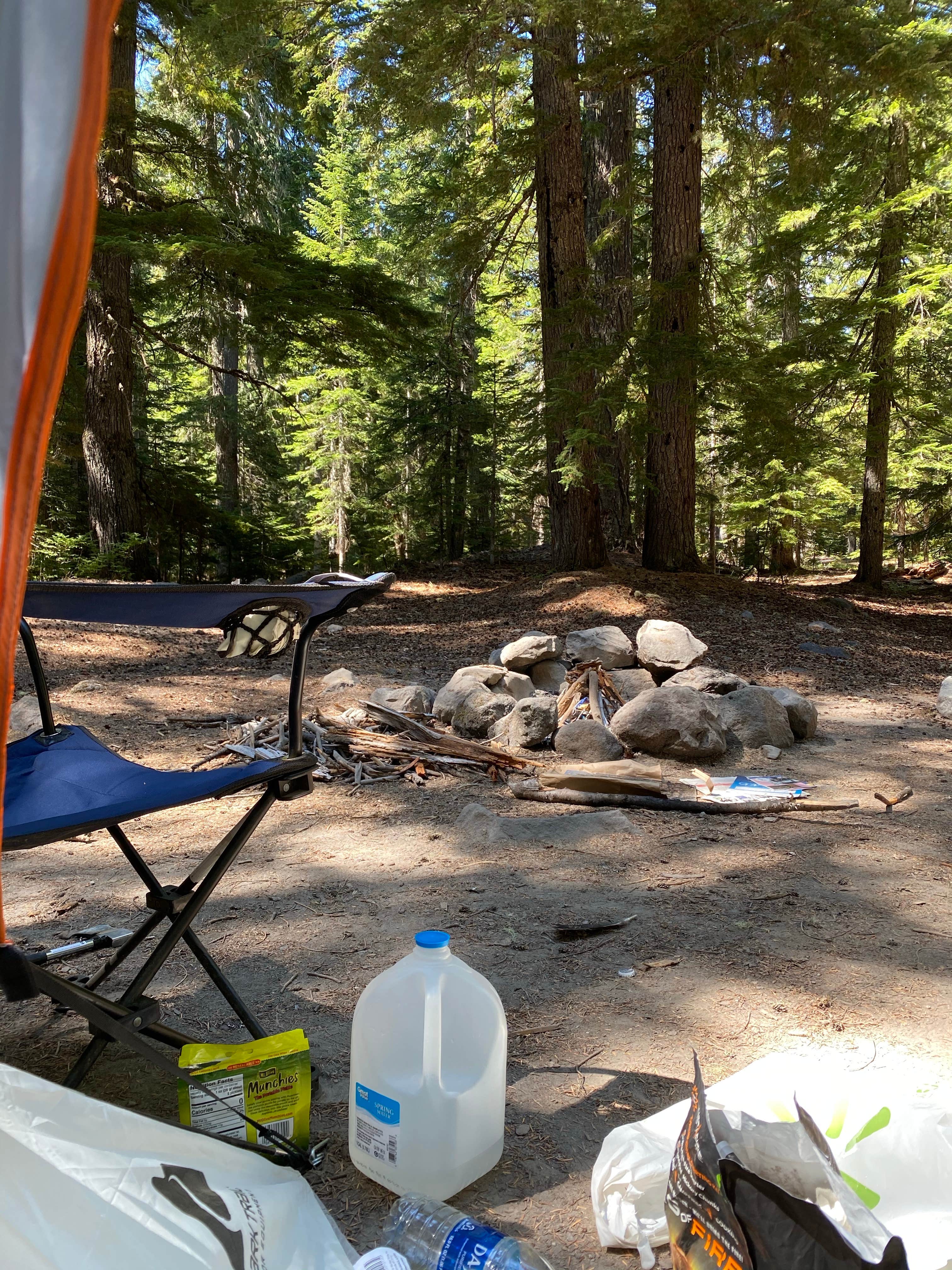 Patsy P.'s photo of a dispersed camping area at Mount St. Helens Dispersed Camping near Woodland, WA