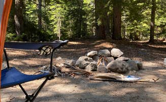Patsy P.'s photo of a dispersed camping area at Mount St. Helens Dispersed Camping near Battle Ground, WA