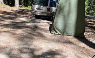 Patsy P.'s photo of a dispersed camping area at Mount St. Helens Dispersed Camping near St. Helens, OR