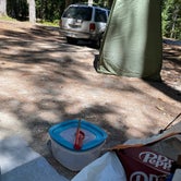 Review photo of Mount St. Helens Dispersed Camping by Patsy P., August 20, 2020