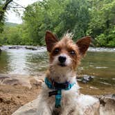 Review photo of Tallulah Gorge River Campground by Sarah R., August 20, 2020