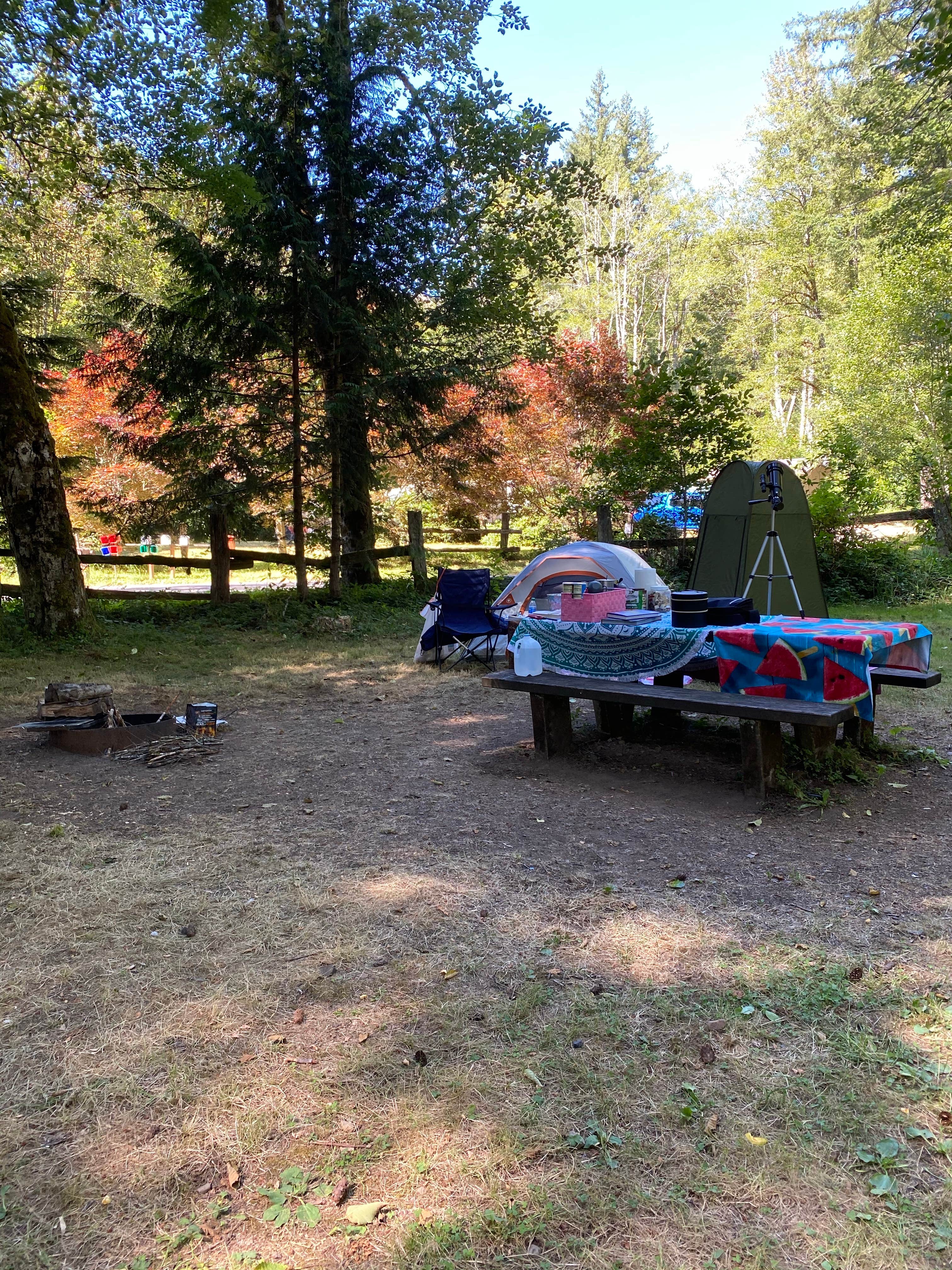 Patsy P.'s photo at Sunset Falls Campground near Vancouver, WA