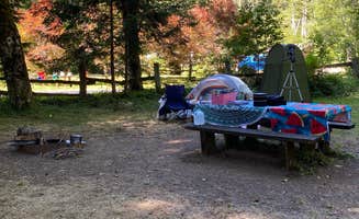 Patsy P.'s photo at Sunset Falls Campground near Camas, WA