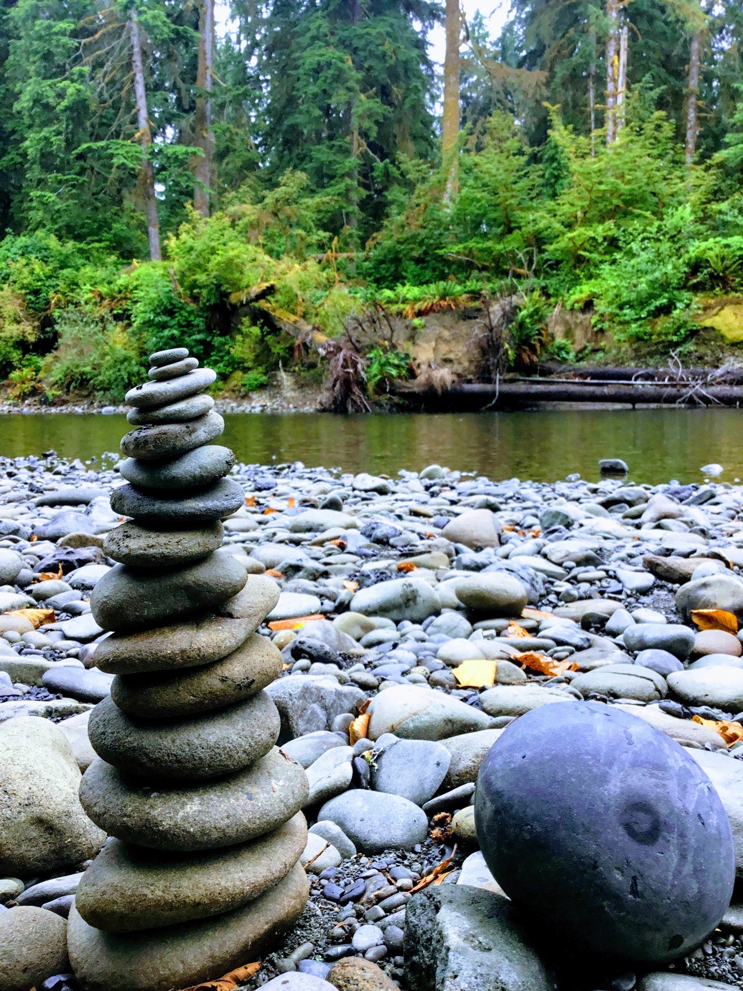 Camping near Queets Campground — Olympic National Park: Coppermine Bottom Campground, Amanda Park, Washington