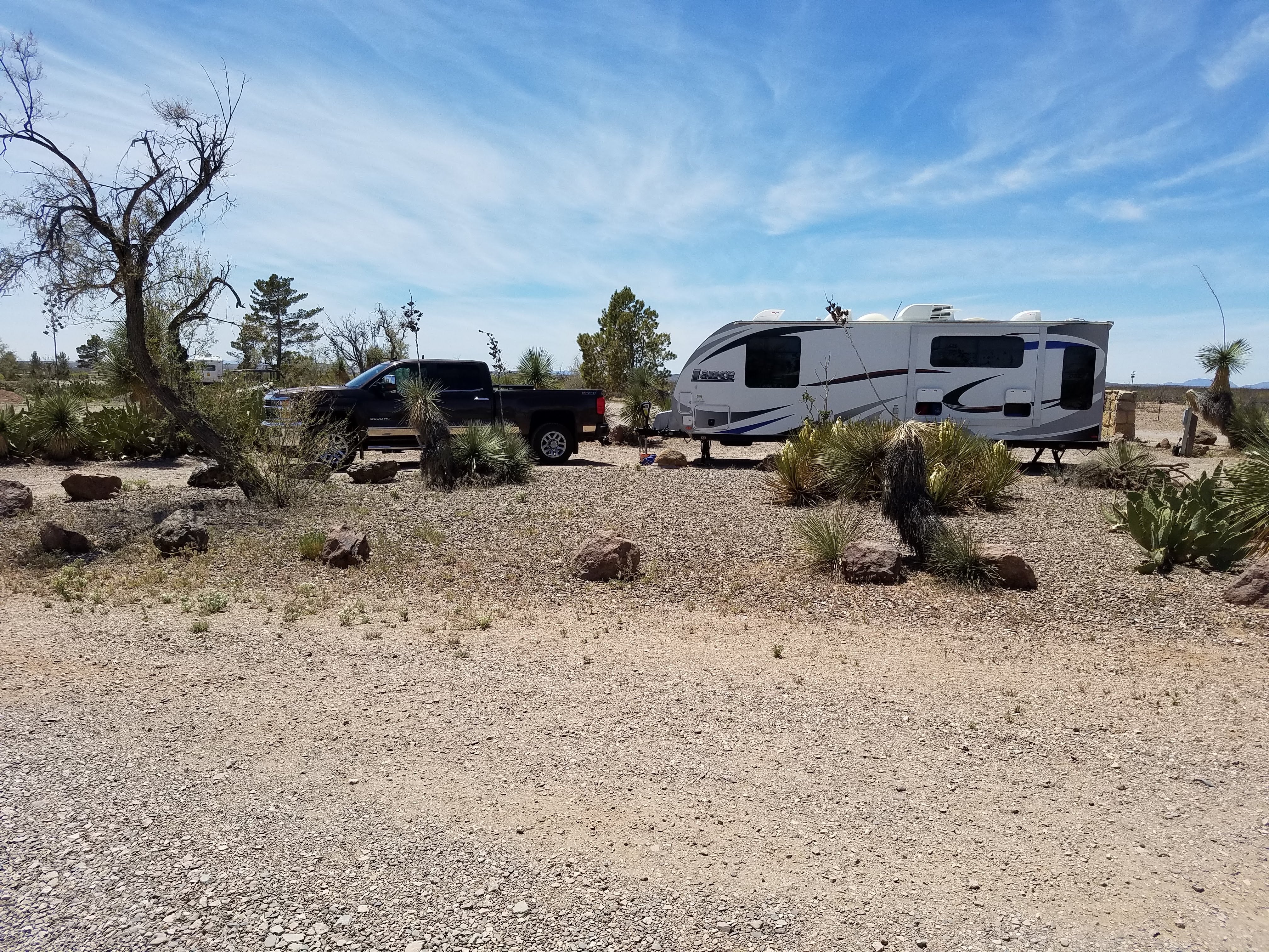Camper submitted image from Pancho Villa State Park Campground - 1