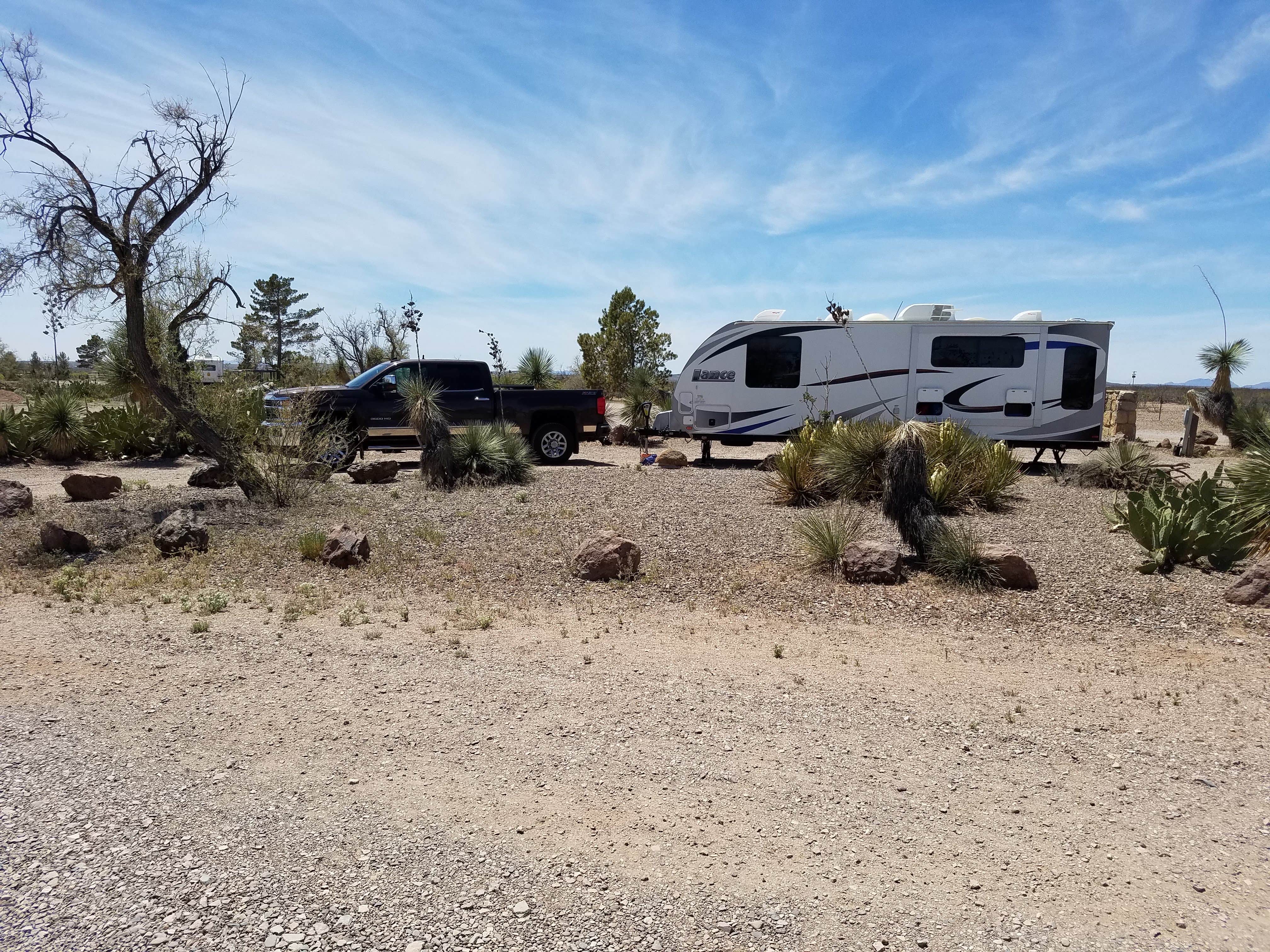 Camper submitted image from Pancho Villa State Park - 1