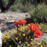 Review photo of Kartchner Caverns State Park Campground by Annell N., August 20, 2020