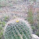 Review photo of Kartchner Caverns State Park Campground by Annell N., August 20, 2020