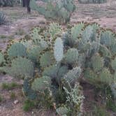 Review photo of Kartchner Caverns State Park Campground by Annell N., August 20, 2020