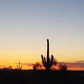 Review photo of Picacho Peak State Park Campground by Annell N., August 20, 2020