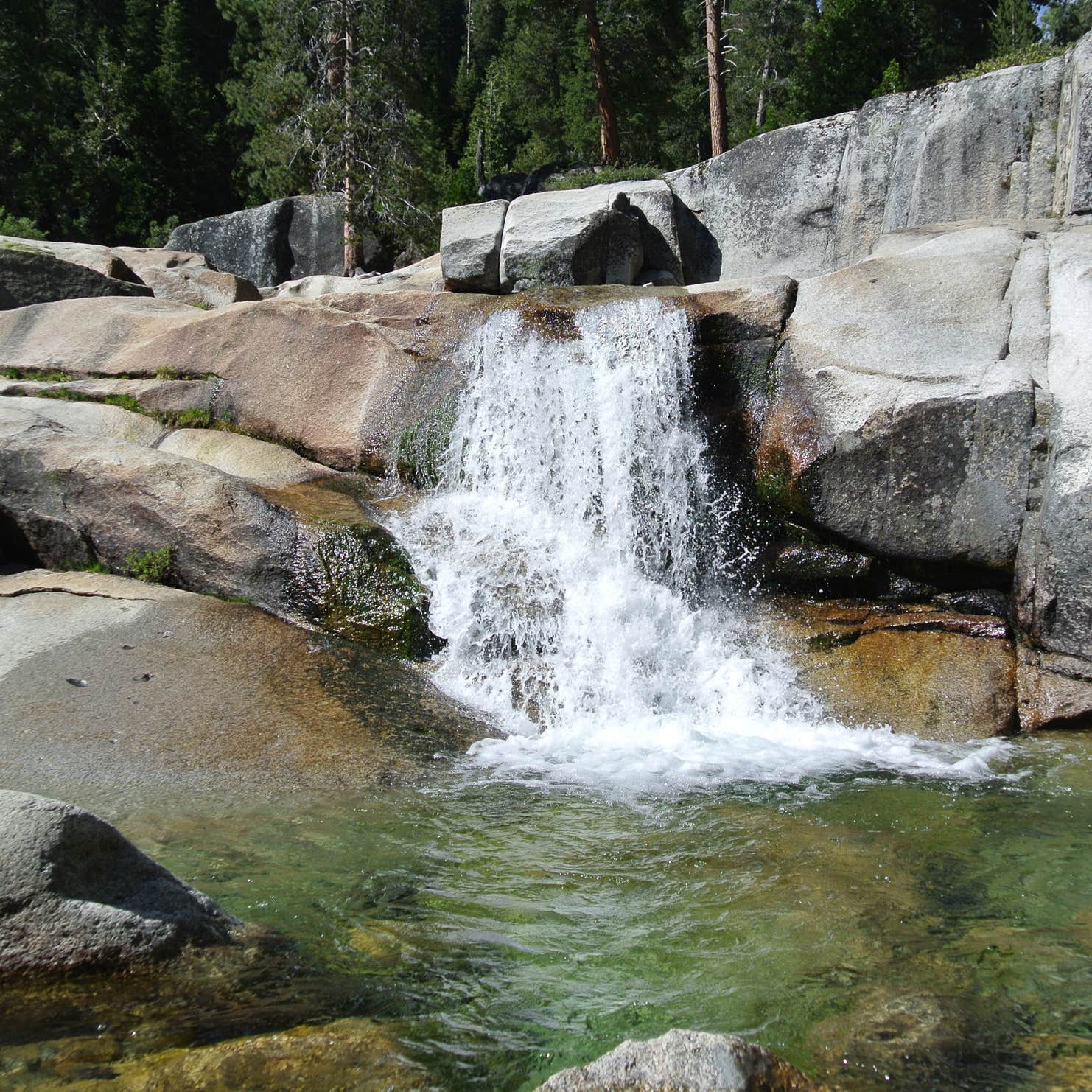 Lodgepole Campground Camping The Dyrt