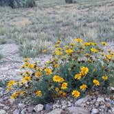 Review photo of Picacho Peak State Park Campground by Annell N., August 20, 2020