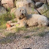 Review photo of Lottis Creek Campground by Rebeca H., August 20, 2020