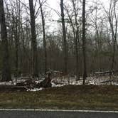 Review photo of Fall Creek Falls State Park Campground by Beth B., May 4, 2018