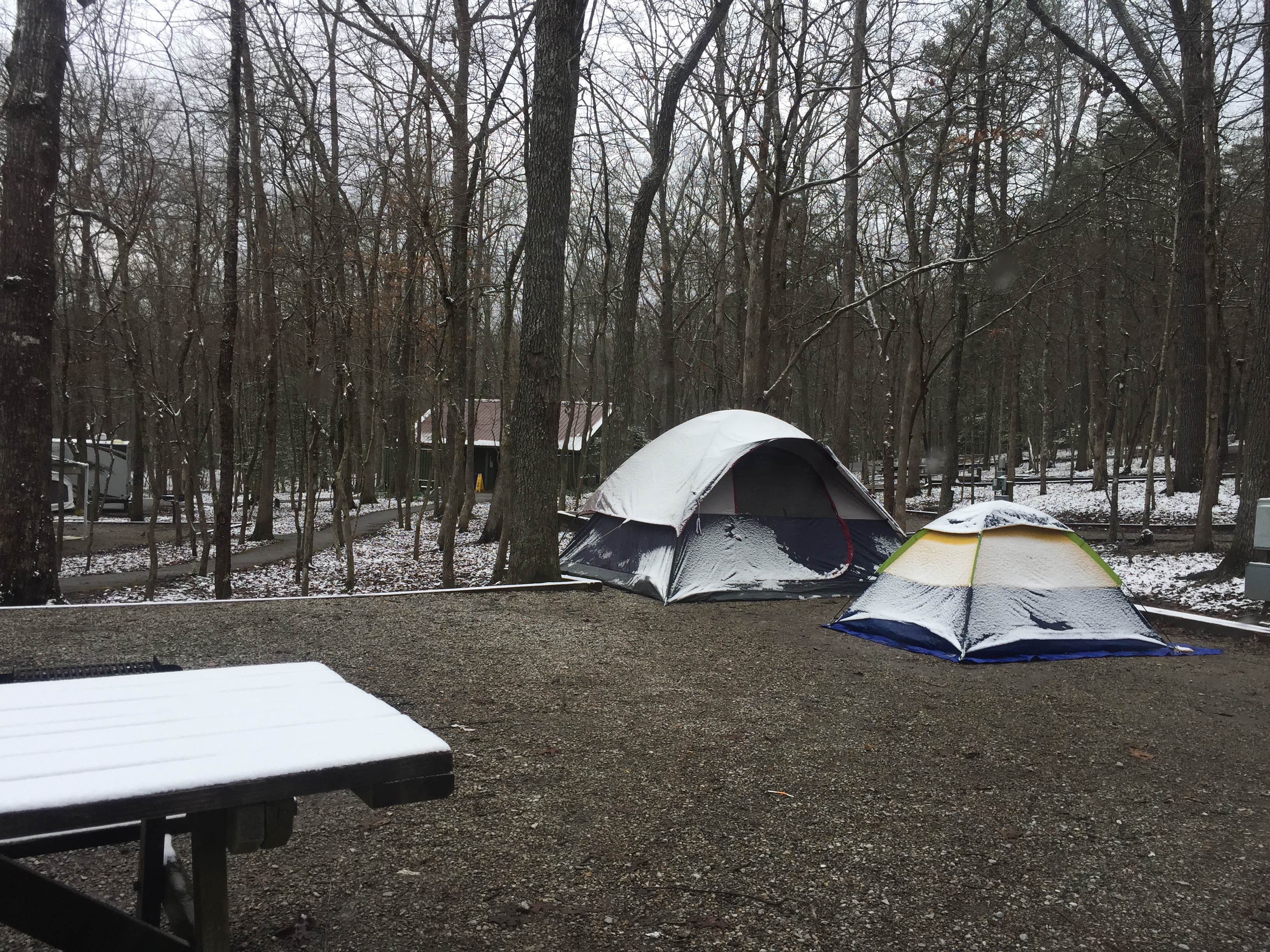 Beth B.'s photo at Fall Creek Falls State Park Campground near Spencer, TN