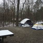 Review photo of Fall Creek Falls State Park Campground by Beth B., May 4, 2018