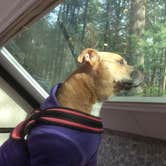 Review photo of Findley State Park Campground by Greg A., May 4, 2018