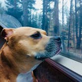Review photo of Findley State Park Campground by Greg A., May 4, 2018