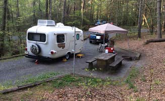 Phil L.'s photo at Lake Powhatan — National Forests In North Carolina near National Forests in North Carolina