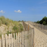 Review photo of Cape Henlopen State Park Campground by Tara S., May 4, 2018