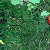 Review photo of Findley State Park Campground by Kimberly C., August 20, 2020