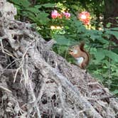 Review photo of Findley State Park Campground by Kimberly C., August 20, 2020