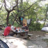 Review photo of Cape Henlopen State Park Campground by Tara S., May 4, 2018