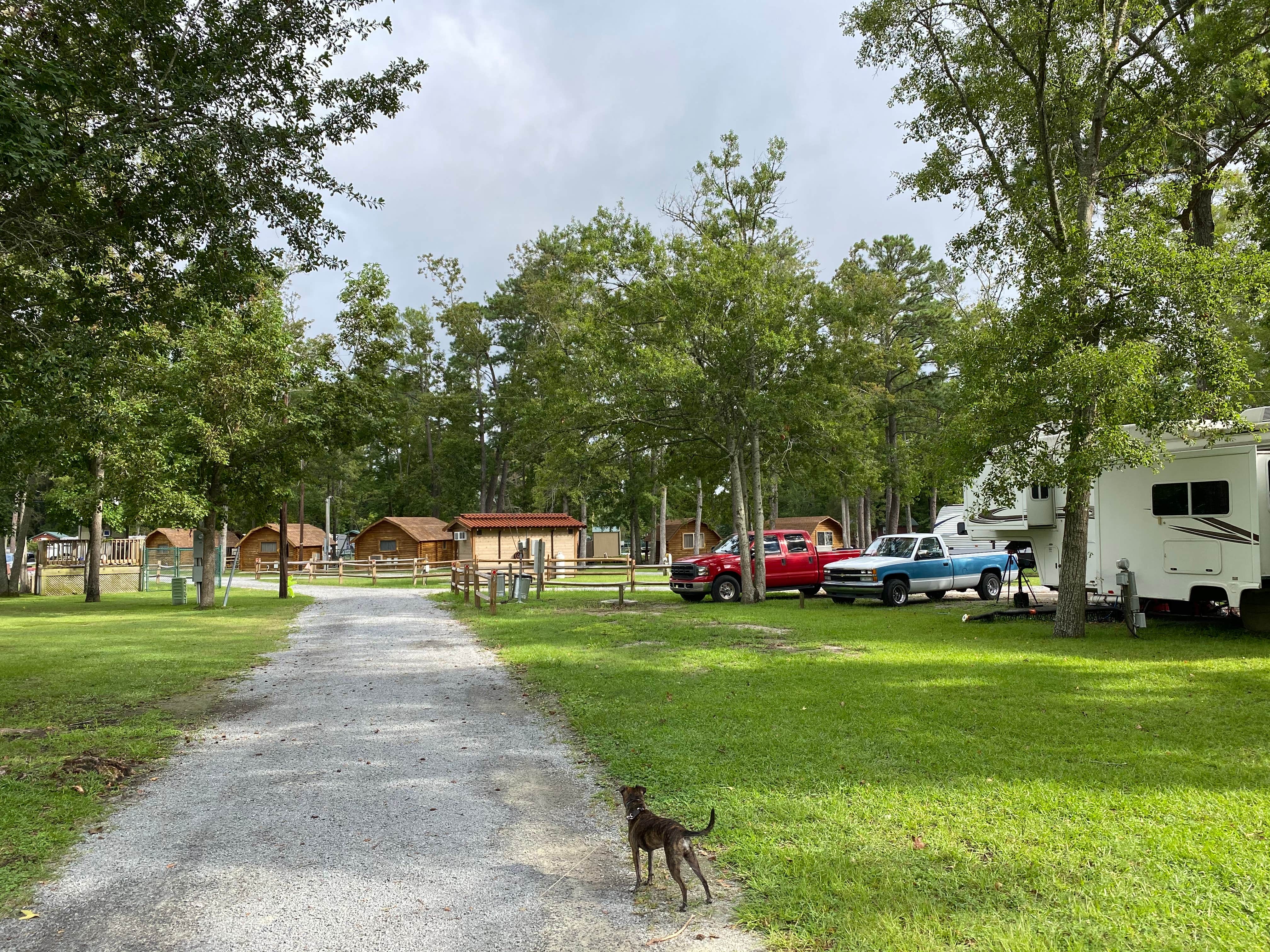 Jen B.'s photo of camping with pets at New Bern KOA Holiday near Gloucester, NC