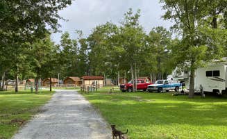 Jen B.'s photo of camping with pets at New Bern KOA Holiday near Harkers Island, NC