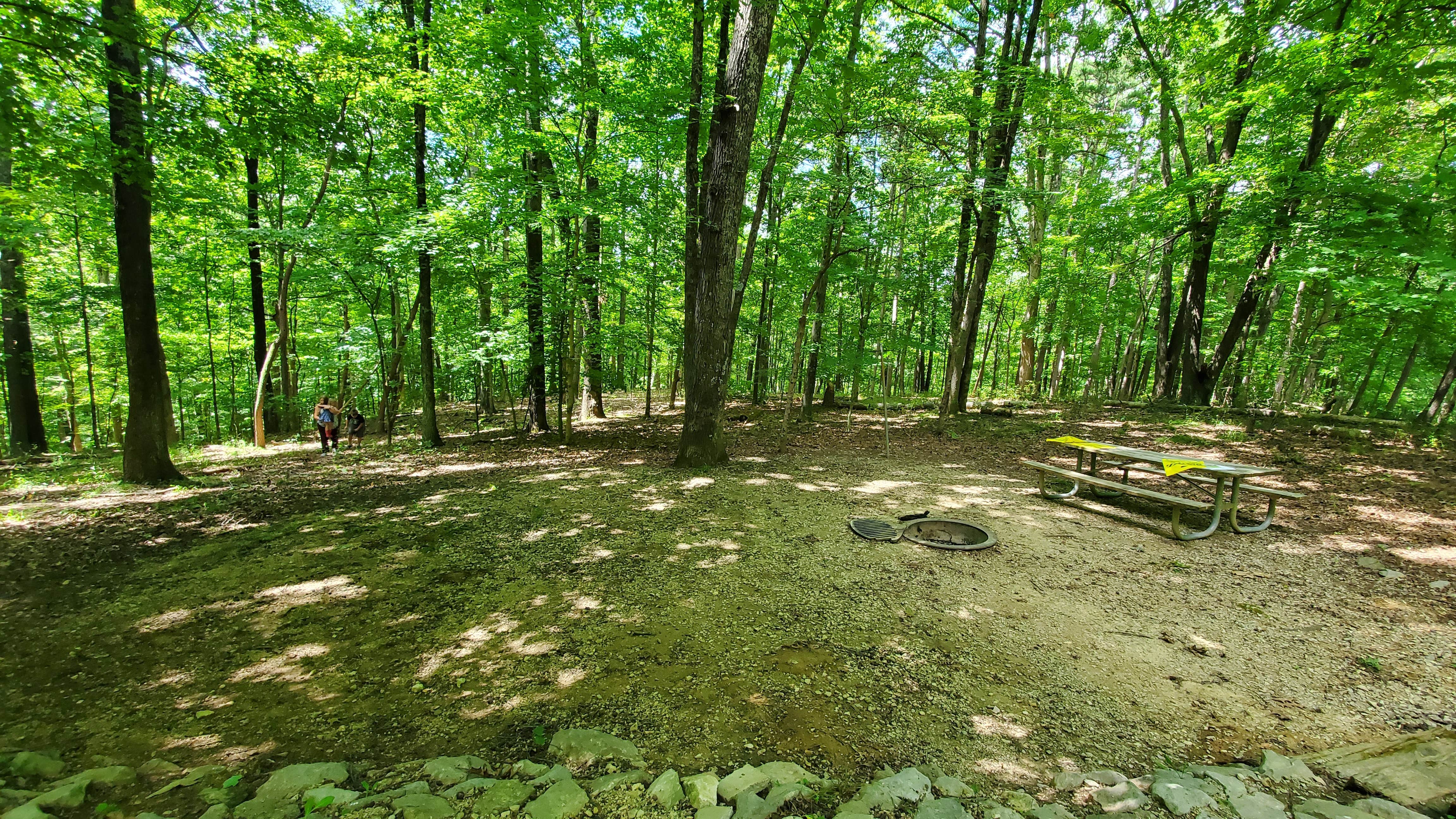 Camper submitted image from Hardin Ridge - 4