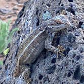 Review photo of El Morro National Monument by Heather W., August 20, 2020