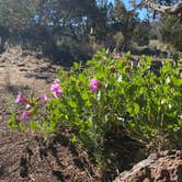 Review photo of El Morro National Monument by Heather W., August 20, 2020